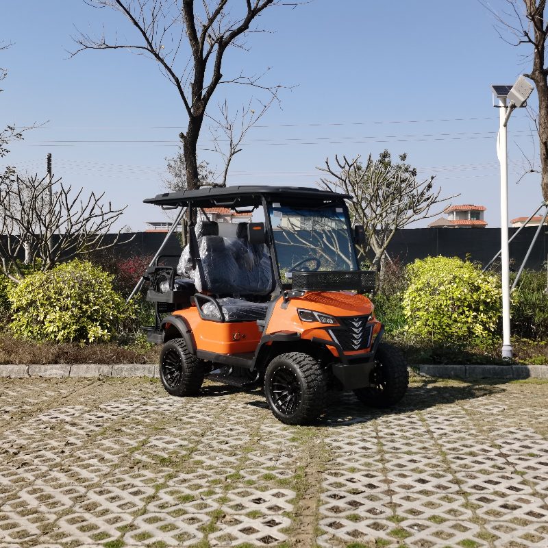 Lityum pilli 2 kişilik elektrikli av aracı