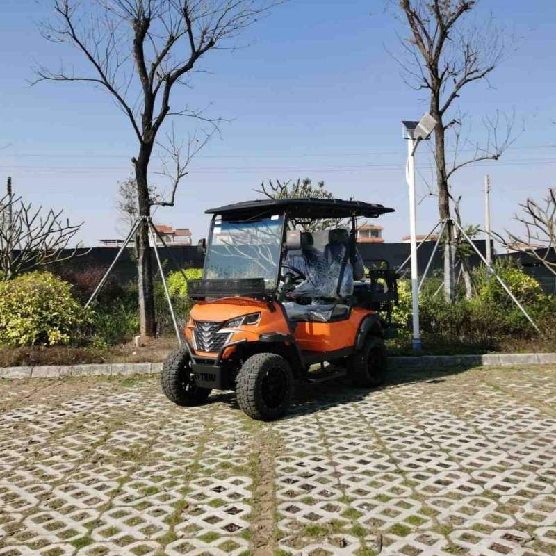 Lityum pil ile 2 kişilik elektrikli kaldırılmış av aracı