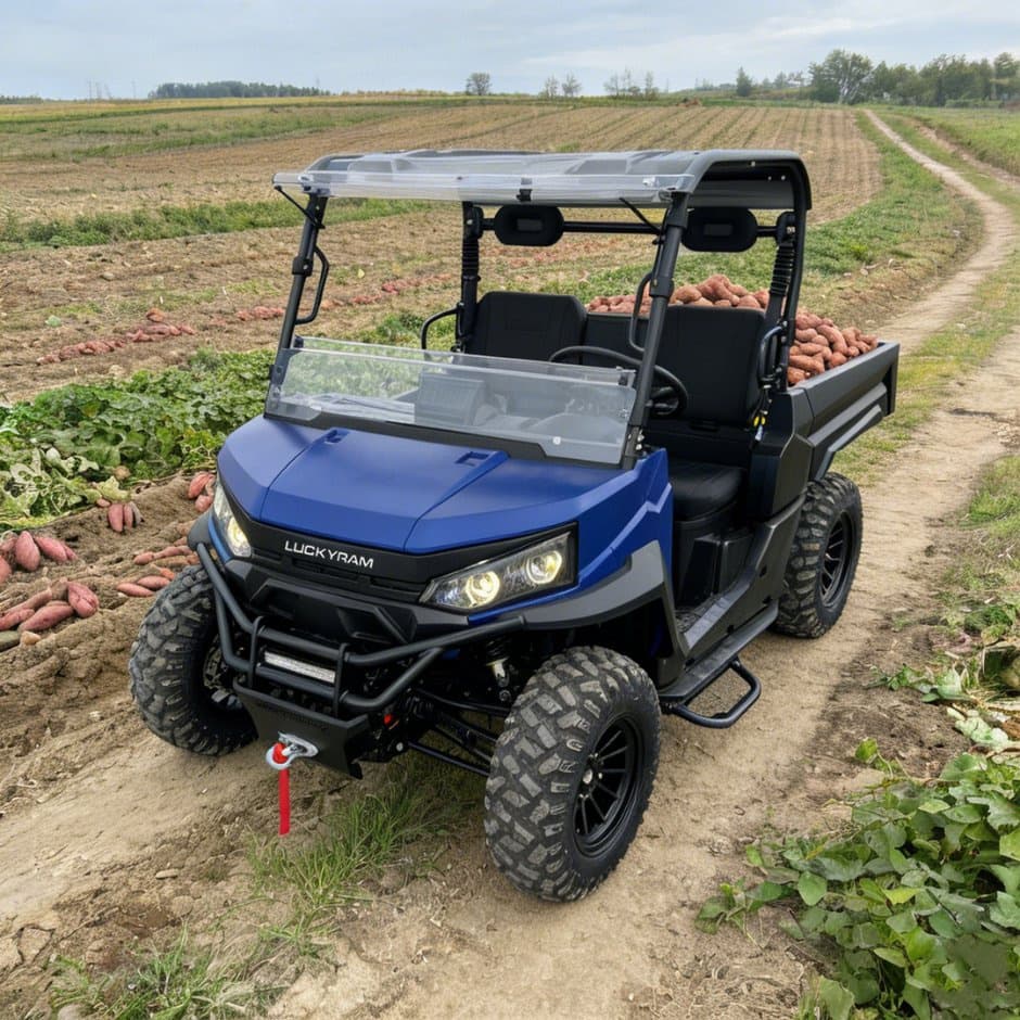73.6V 4WD UTV 10kw AC Motor EPS Direksiyon 150ah Pil