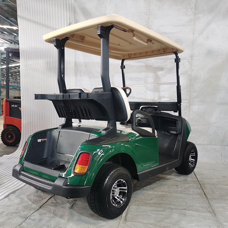 Lityum pil ile donatılmış çok renkli 2 kişilik elektrikli golf arabası