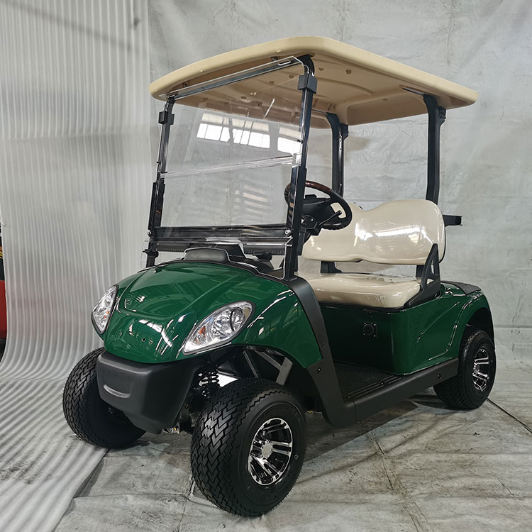 Lityum pille donatılmış, güçlü 2 kişilik elektrikli golf arabası